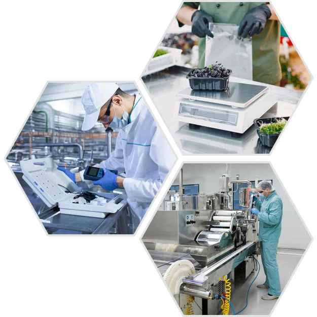 Tecnología Alimenticia