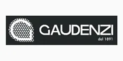gaudenzi